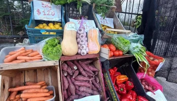Frutas y verduras Emifer - 11900 Montevideo