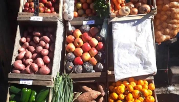 Frutas Y Verduras - Guayabos
