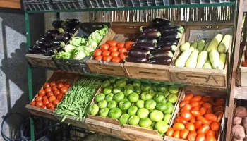 Frutería F y R - 11300 Montevideo