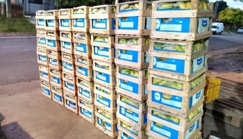 Frutería Huerta a Puerta - Vizconde De Mauá