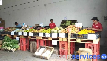 Frutería Santi Ventas mayor y menor - 60000 Paysandú