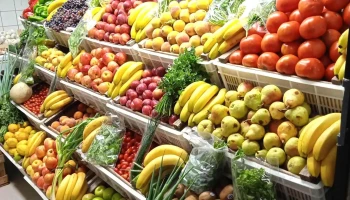 Frutería Sophia - Treinta Y Tres
