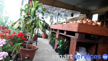 Fruteria Y Verduleria Vivero Pando - 15600 Pando
