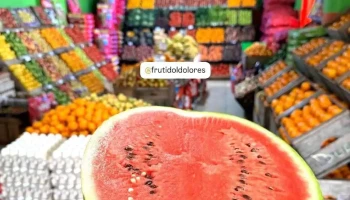 Frutidol - 75100 Dolores