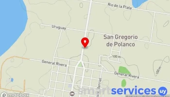Gomería Alexís Ramírez - San Gregorio De Polanco