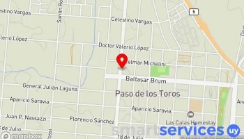 Gomeria Boxes - Paso De Los Toros