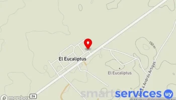 Gomería - El Eucaliptus