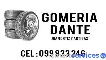 Gomeria Tacuarembó Gomeria Dante - Tacuarembó