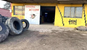 Gomeria y taller “Acuario” - 30300 José Pedro Varela