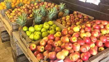 Huerta Los Patos - 12700 Montevideo
