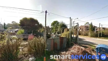 Huerta Orgánica rantifusa - Capri Huerta Orgánica rantifusa - Capri