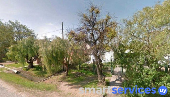 huevo trans novio de lautaro - 15200 Estación Atlántida