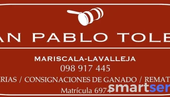Juan Pablo Toledo Remates - 30000 Mariscala