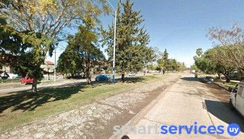 Kactus - 45000 Tacuarembó