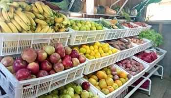 La Fruteria - 27400 La Paloma