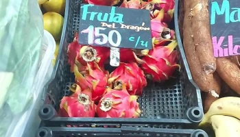 La Fruteria - Departamento De Maldonado