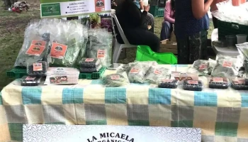 La Micaela - Alimentos Orgánicos - 90100 Aguas Corrientes
