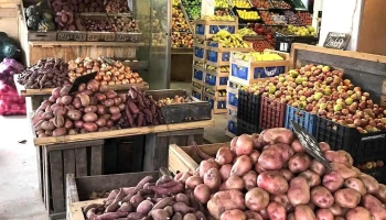 La yapa - 20400 San Carlos