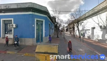 Lemon - San José - San José De Mayo