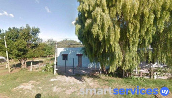 Lo de Kiko - 65100 Young