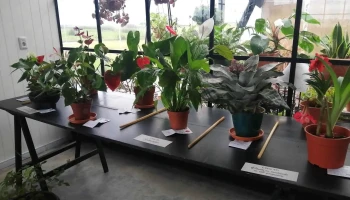 Los Molles Salón de Eventos - 70200 Florencio Sánchez