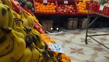 Mar de Frutas - 40000 Rivera