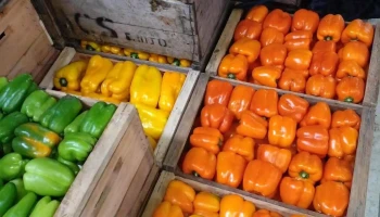 marcos bauza venta de frutas y verduras - Canelones