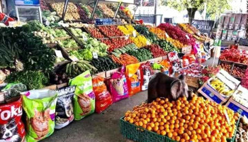 Mercado garzón Frutas y Verduras - 11900 Montevideo