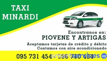 Minardi Taxi - Pando