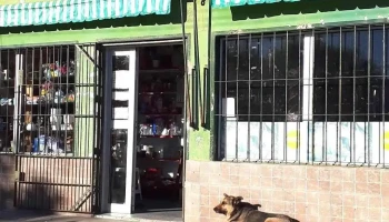 Minimercado del barrio - 91400 Santa Rosa Minimercado del barrio - 91400 Santa Rosa