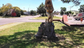 Municipio de Juan Lacaze - Jose Salvo Municipio de Juan Lacaze - Jose Salvo