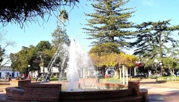 Municipio de Tala - 91800 Tala