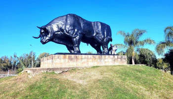 Municipio Paso De Los Toros - Gral. .Leandro Gomez