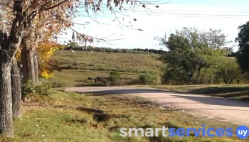 Omnilife .. Lo Tenes Aquí - Andres Faraut