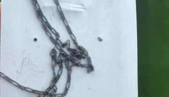 Optica Caroli - Tarariras