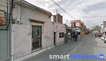 Optica Real - Pando