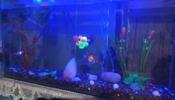 Panaderia El FAro - 12800 Montevideo