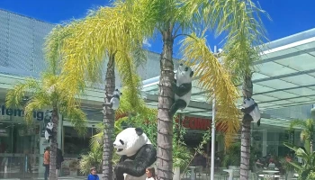 Panda Free Shop - Rio Branco