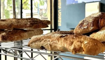 Pantera - 11400 Montevideo Pantera - 11400 Montevideo