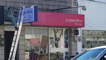Pappolino - Young - Young
