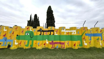 Paseo del Arte - 70000 Col. Del Sacramento