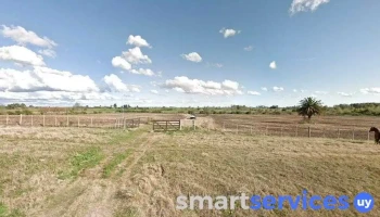 Paty-ventas - 90000 Canelones
