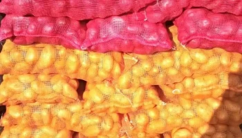 Pera Limonera Tienda de Frutas y Verduras - 60000 Paysandú