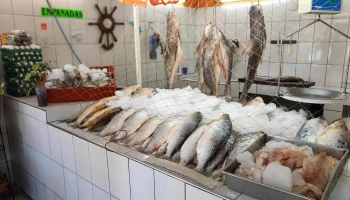 Pescadería El Acuario - Rosario