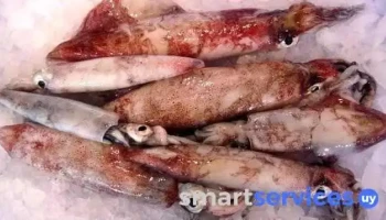 Pescadería en el cerro de Montevideo - Uruguay