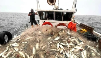 Pescaderia ManzaPez - 15000 Ciudad De La Costa