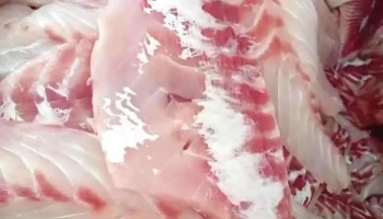 Pescadería Tomkinson - 12700 Montevideo Pescadería Tomkinson - 12700 Montevideo