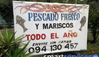 Pescado Fresco - 15800 Ciudad De La Costa Pescado Fresco - 15800 Ciudad De La Costa