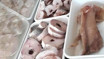 Picomar Pescaderia - Santa Rosa