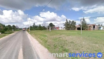 Pizzas - 91500 Sauce